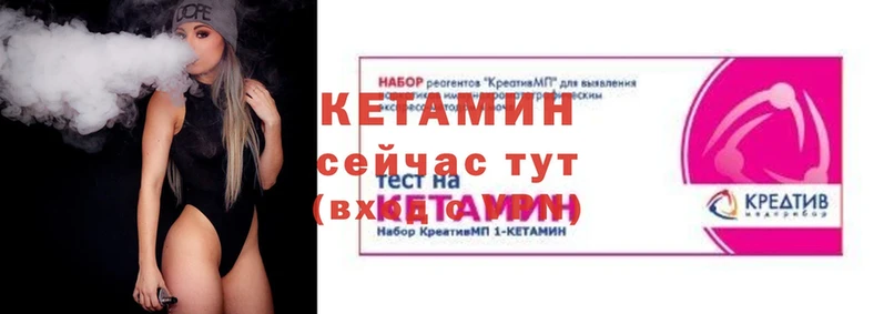 ссылка на мегу как зайти  Елизово  Кетамин VHQ  купить наркотик 